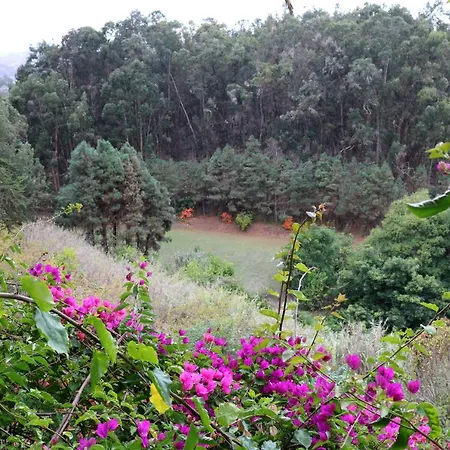 Casa de Férias En Medio Del Bosque, El Lance *