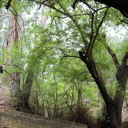 Casa de Férias En Medio Del Bosque, El Lance